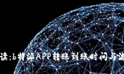 深入解读：b特派APP转账到账时间与流程分析
