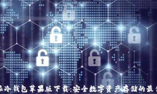 
比特派冷钱包苹果版下载：安全数字资产存储的最佳选择