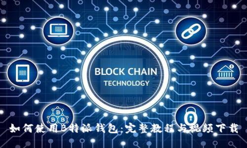 如何使用B特派钱包：完整教程与视频下载