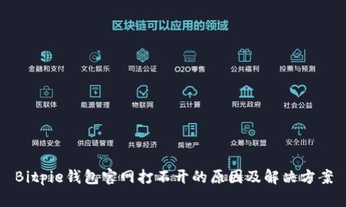 Bitpie钱包官网打不开的原因及解决方案