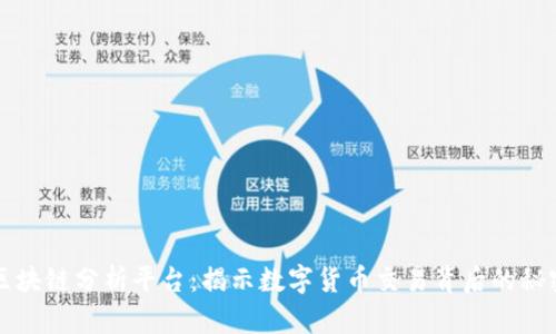 区块链分析平台：揭示数字货币交易背后的秘密